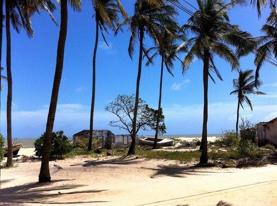 Scoop Cabana Kitesurfing Kalpitiya Luaran gambar